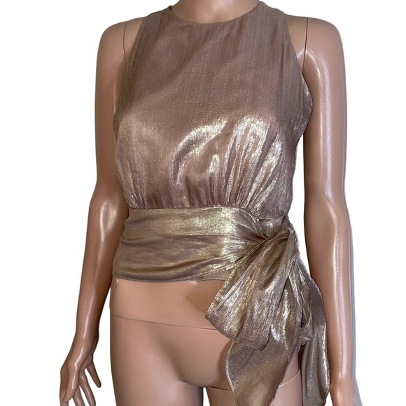 MILLY Women's Metallic Lurex Silk blend Chiffon Lauren Top pink waist tie SZ 0 - Picture 3 of 12